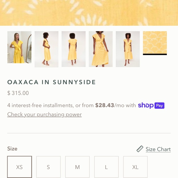 Mirth Oaxaca Dress XS in Sunnyside - Picture 8 of 14